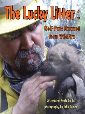 cover image of The Lucky Litter